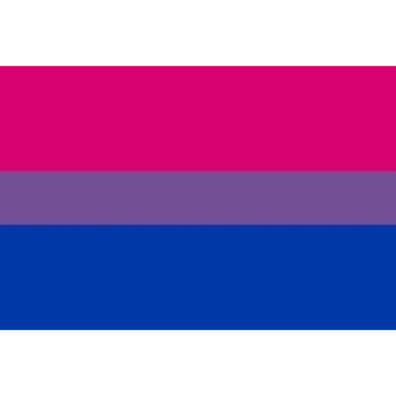 PRIDE - PULSEIRA BANDEIRA BISSEXUAL 90 X 150 - Infernum Store
