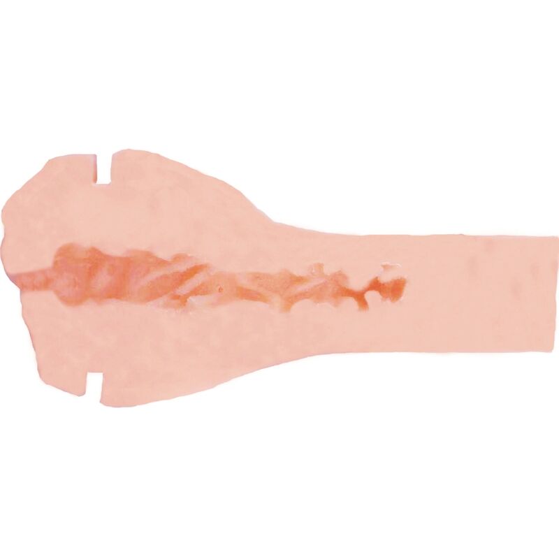 PRIVATE - MASTURBADOR HORNY COUGAR TO GO - Infernum Store