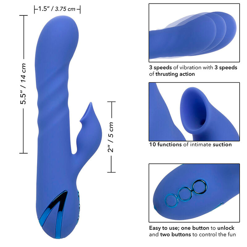 CALEXOTICS - LA LOVE VIBRADOR & SUCKER BLUE POR CALIFORNIA DREAMING - Infernum Store