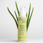 Aloe Vera is known and used over centuries for its numerous properties