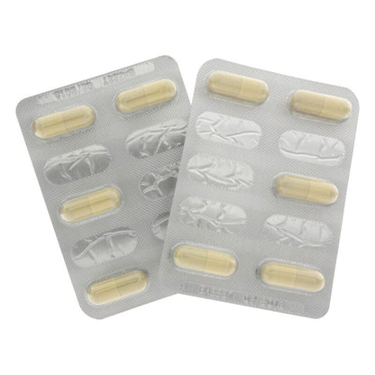 HOT - EXTREME LIBIDO CAPS FEMININO 10 PCS