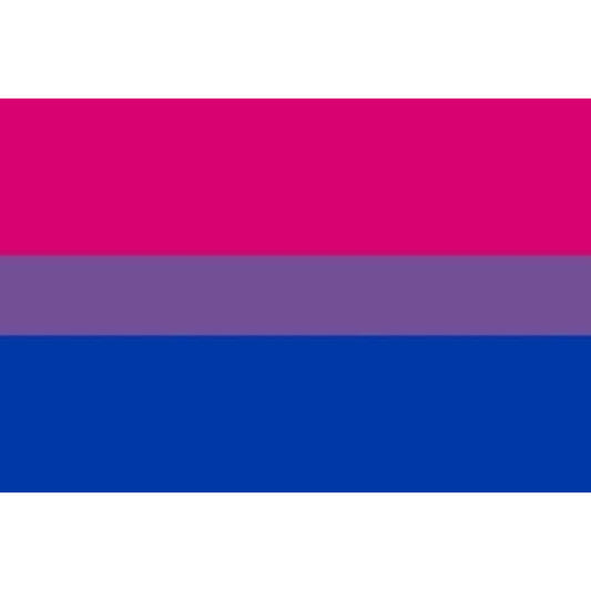 PRIDE - PULSEIRA BANDEIRA BISSEXUAL 90 X 150