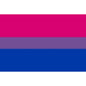 PRIDE - PULSEIRA BANDEIRA BISSEXUAL 90 X 150