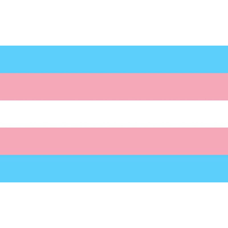 PRIDE - BANDEIRA TRANSEXUAL 90 X 150