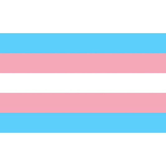 PRIDE - BANDEIRA TRANSEXUAL 90 X 150