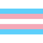 PRIDE - BANDEIRA TRANSEXUAL 90 X 150