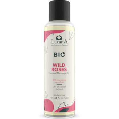 https://dreamlove.gesio.be/productos/imagenes/img_157185_bff655887bca423e3d1d917ab369bd07_1.jpg