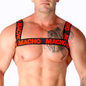 https://dreamlove.gesio.be/productos/imagenes/img_185370_be924dbe52a1c28a9afd057c7bf39a61_1.png