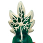 CONDOMERIE - PRESERVATIVOS NOVIDADES PINTADOS À MÃO CANNABIS MODELO 2