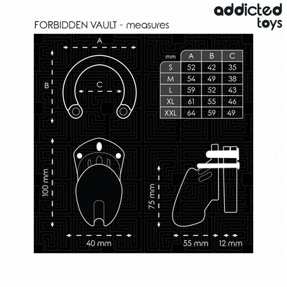 ADDICTED TOYS LOCKED - GAIOLA PARA PÊNIS FORBIDDEN VAULT 10 CM