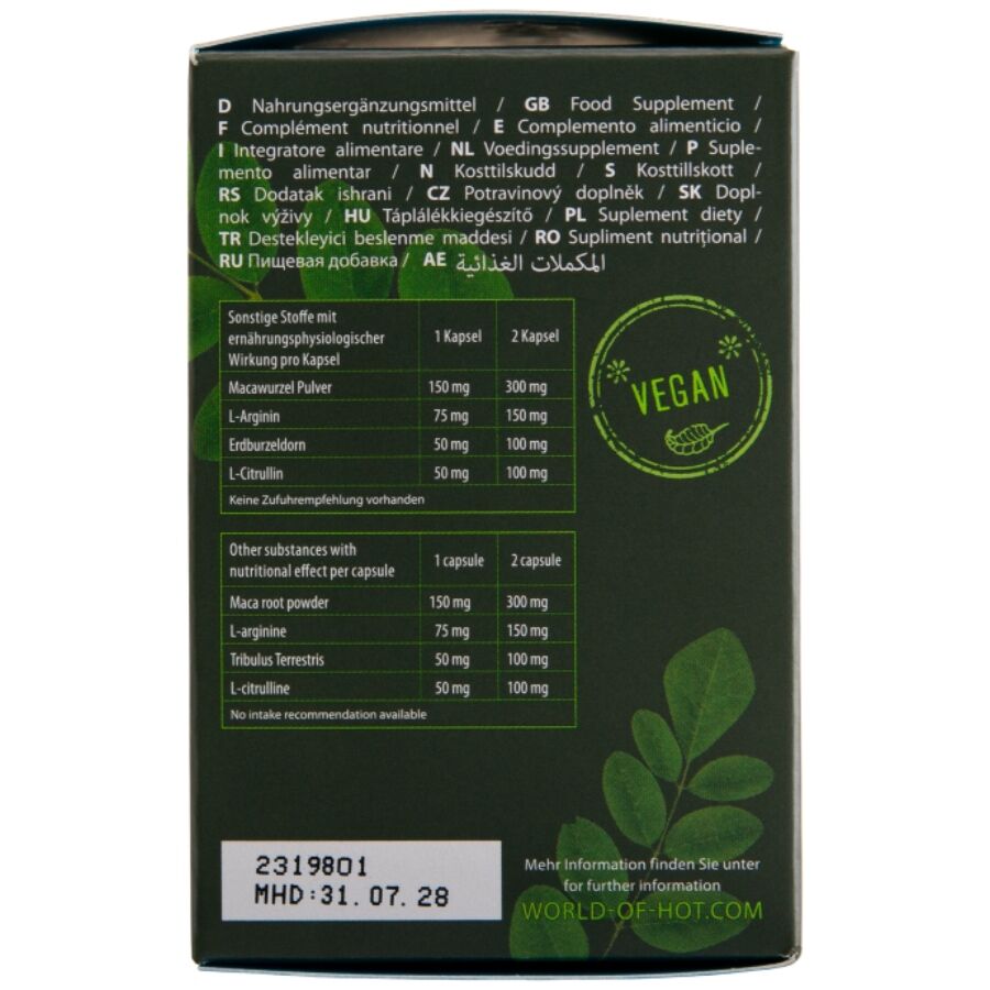 HOT - MORINGA BONÉS PARA HOMENS 60 UNIDADES - Infernum Store