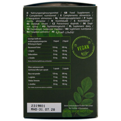 HOT - MORINGA BONÉS PARA HOMENS 60 UNIDADES - Infernum Store