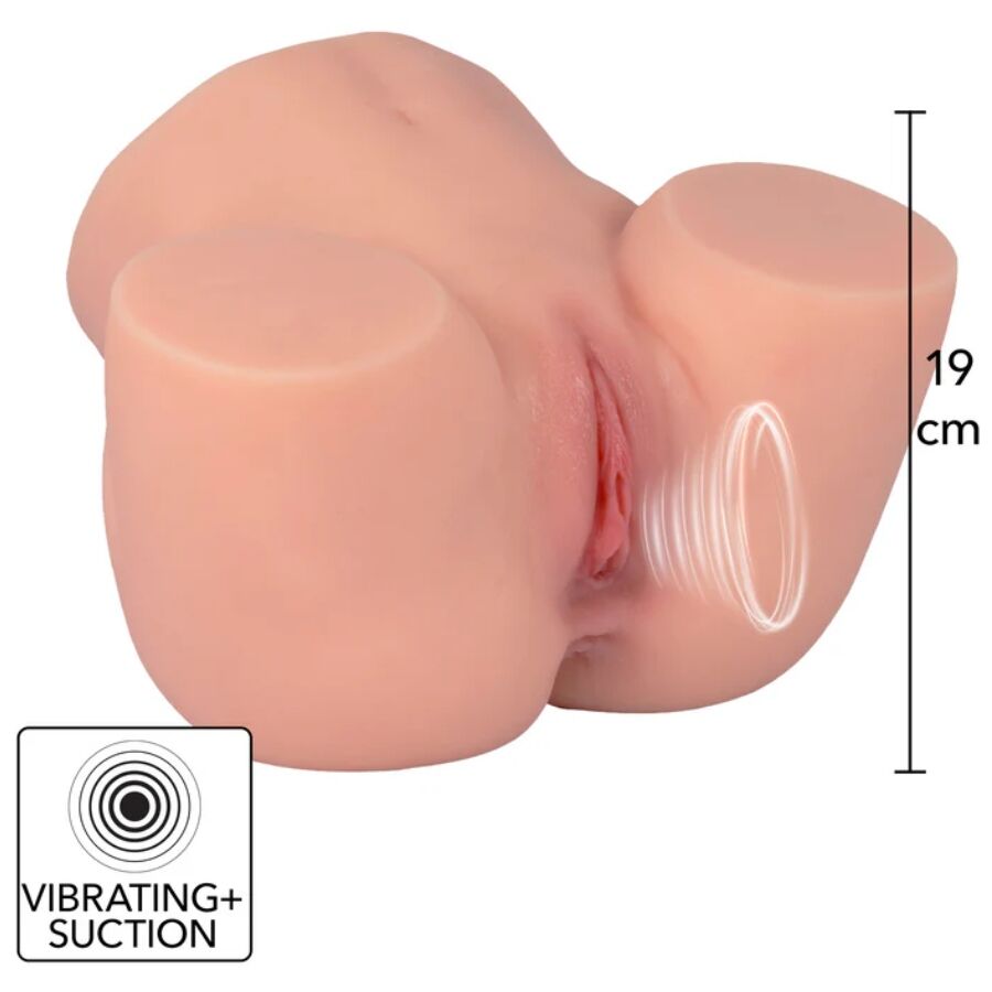 HIDDEN DESIRE - JUICY SUCKING PUSSY TORSO MASTURBADOR FEMININO 4 KG - Infernum Store