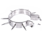 METAL HARD - COLAR DE ESCRAVO BDSM COM PONTOS