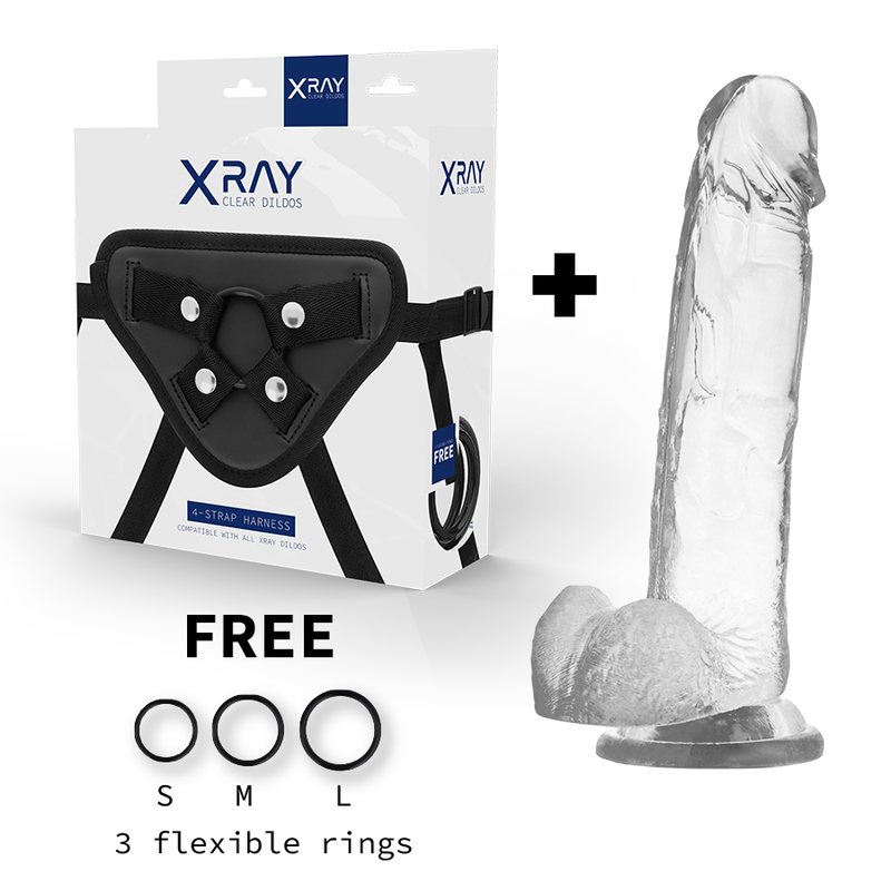 X RAY - ARNÊS + DILDO COM BOLAS 22 CM -O- 4.6 CM