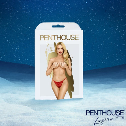 SATISFYER - CALENDÁRIO DO ADVENTO PREMIUM 2025 - Infernum Store